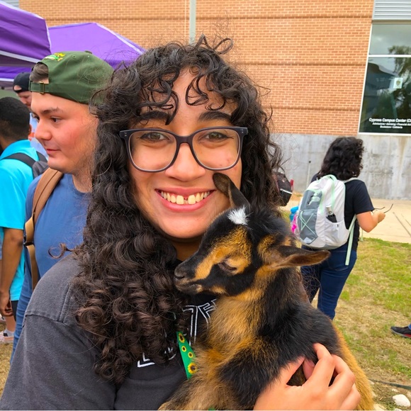 Meet your Posher, Hunter - Picture 1 of 1